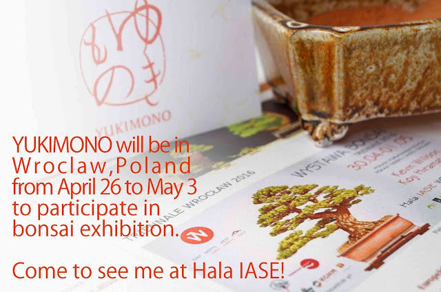 YUKIMONO will be in Wroclaw, Poland from April 26 to May 3