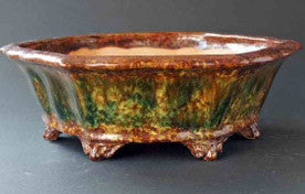 Green& Brown! Octagonal Bonsai Pot