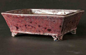 Purple & Celedon! Shuuhou Rectangle Bonsai Pot