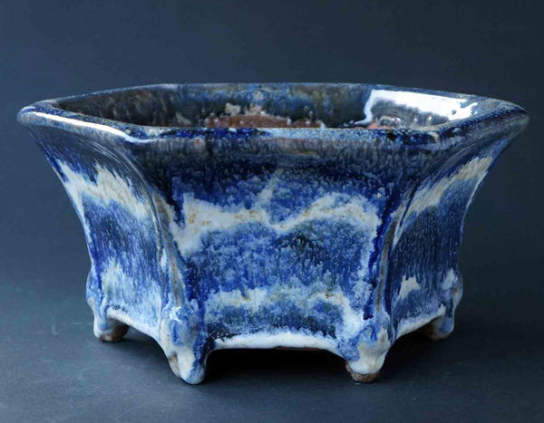 White Wave! Blue Hexagonal Bonsai Pot