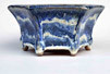 White Wave! Blue Hexagonal Bonsai Pot